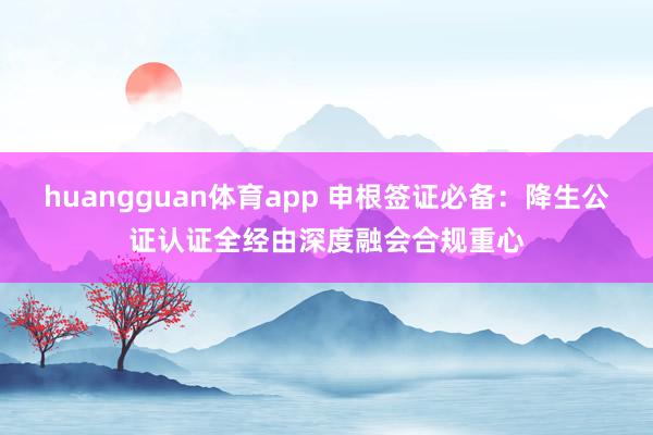 huangguan体育app 申根签证必备：降生公证认证全经由深度融会合规重心