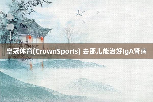 皇冠体育(CrownSports) 去那儿能治好IgA肾病