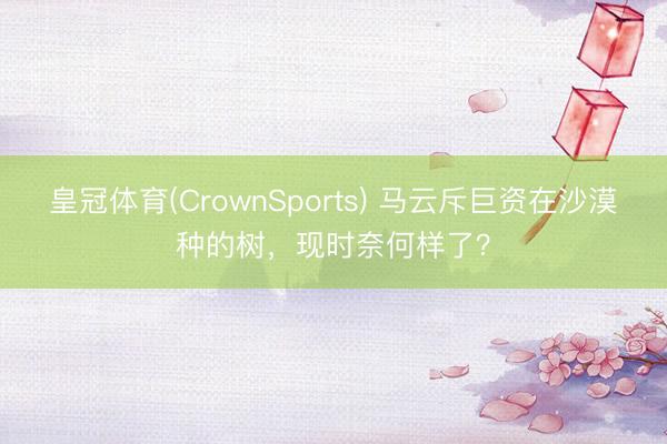 皇冠体育(CrownSports) 马云斥巨资在沙漠种的树，现时奈何样了？