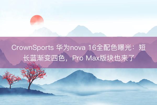CrownSports 华为nova 16全配色曝光：短长蓝渐变四色，Pro Max版块也来了